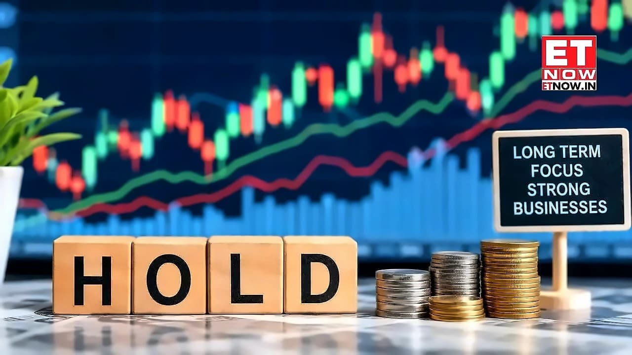 44 High-Quality Stocks: Top Picks Across Market Caps for Long-term