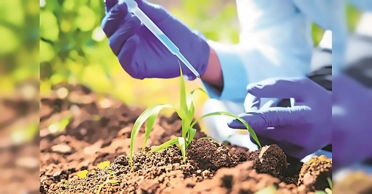 Agricultural research yields ₹7.40 return for every ₹1 invested