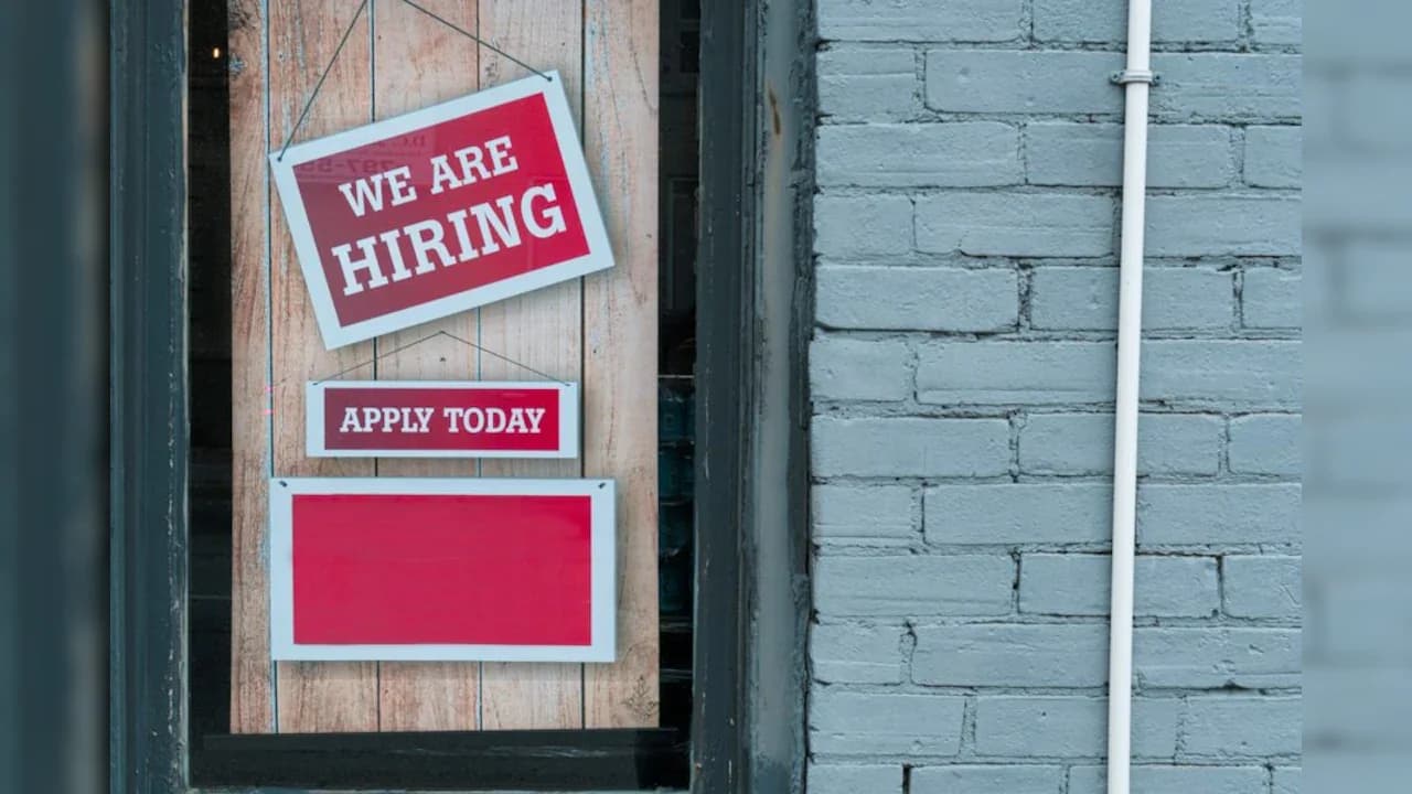 AI Adoption Hits 15-20% in Major Economies, Slowing Tech Hiring