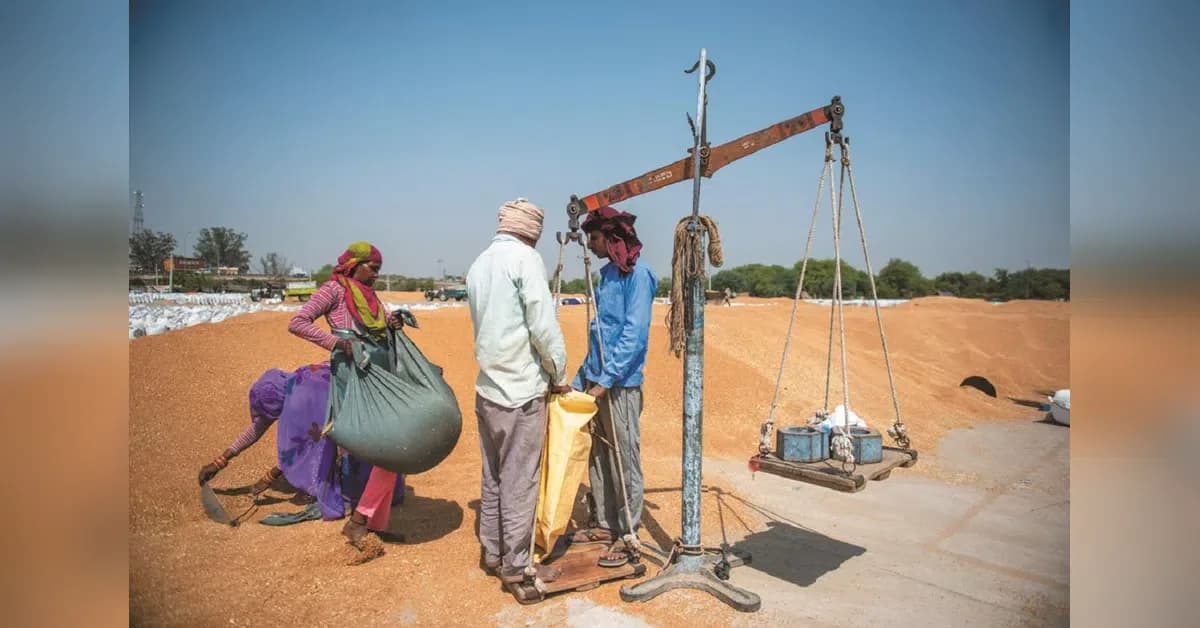 Andhra farmers adopt water-saving paddy methods amid El Nino fears