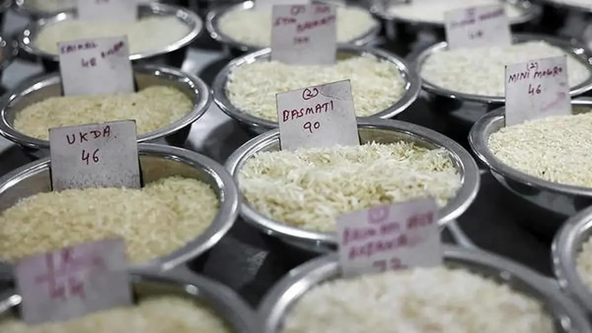 Basmati GI row intensifies as exporters oppose MP inclusion