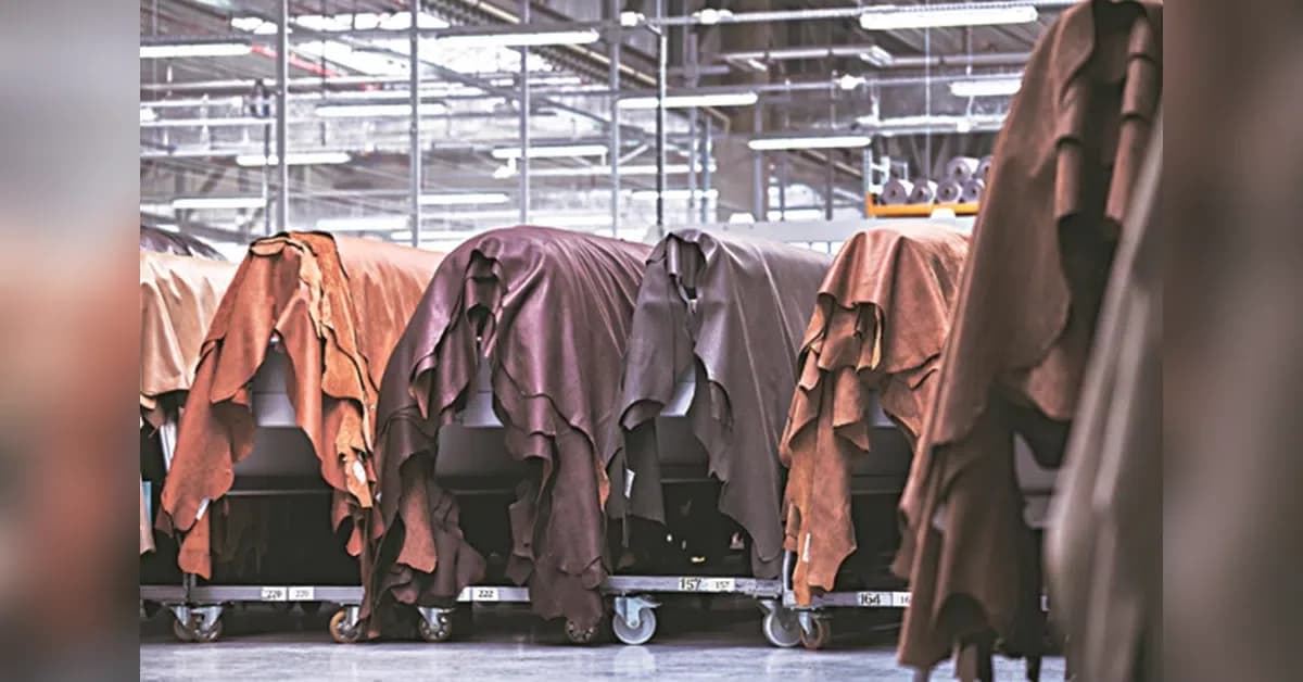 Bengal leather industry faces raw material shortage amid slaughter curbs