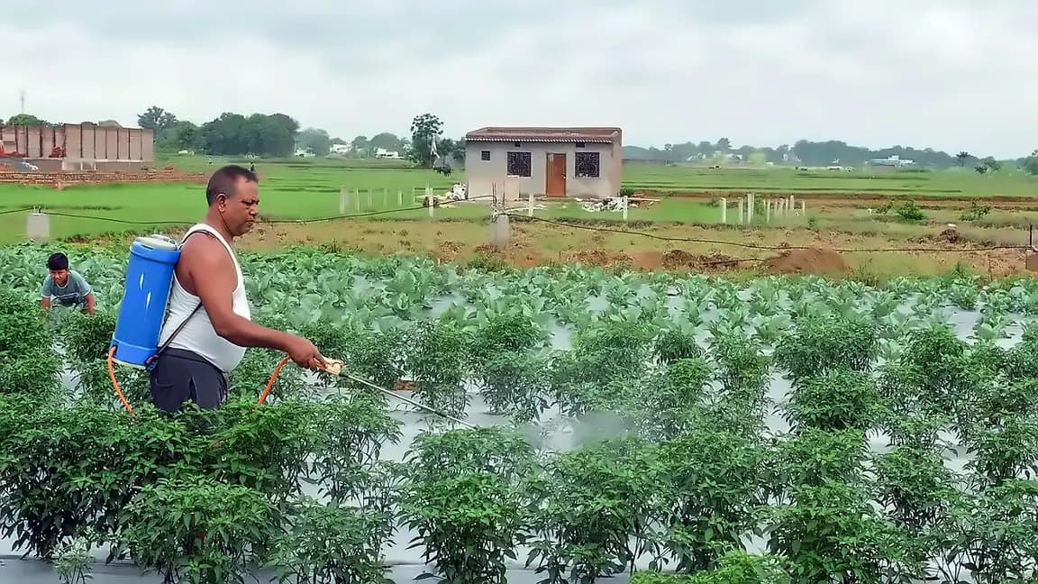 Cabinet approves ₹41,534 cr fertiliser subsidy for Kharif 2026