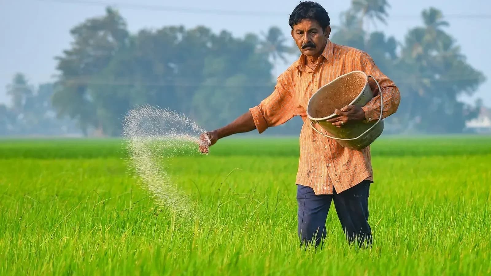 Cabinet hikes MSP for 14 kharif crops, paddy support up to ₹2,441/quintal