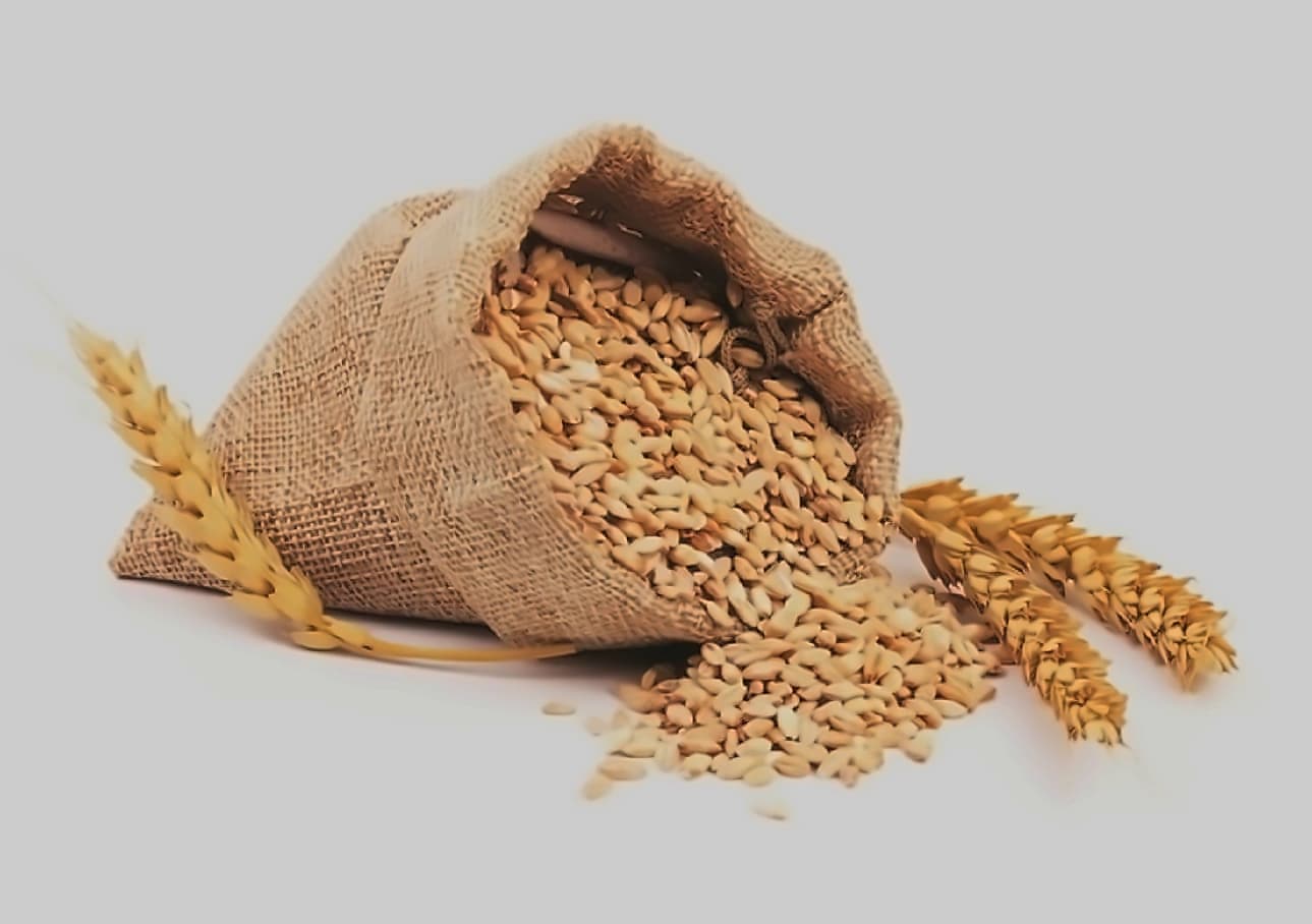 Cabinet approves MSP hike for all rabi crops; wheat gets ₹25 boost