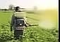 CACP warns fertiliser DBT may hurt agricultural output