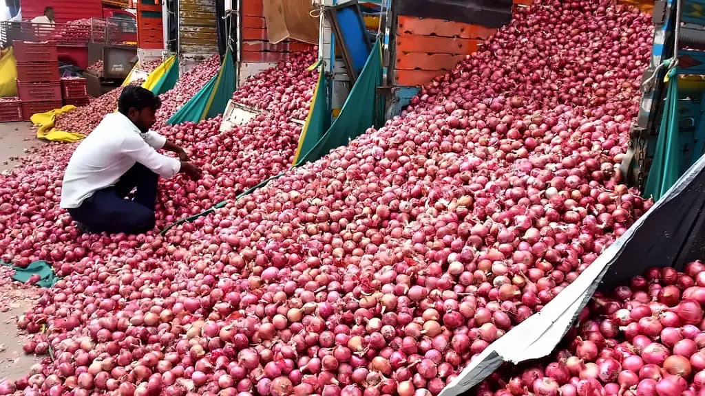 Onion prices surge to ₹40/kg as Karnataka drought hits cultivation