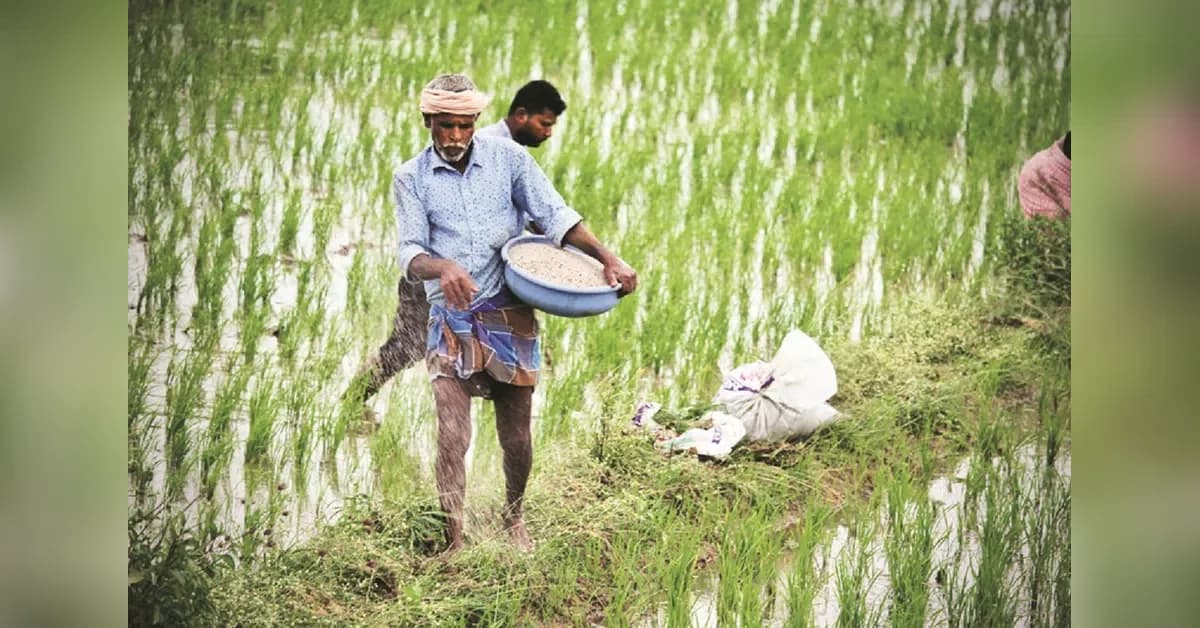 Government extends urea investment policy amid fertiliser price surge