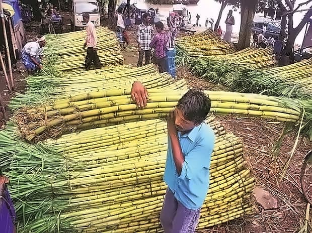 Only 15 of 55 Maharashtra sugar mills crush amid farmers' protest
