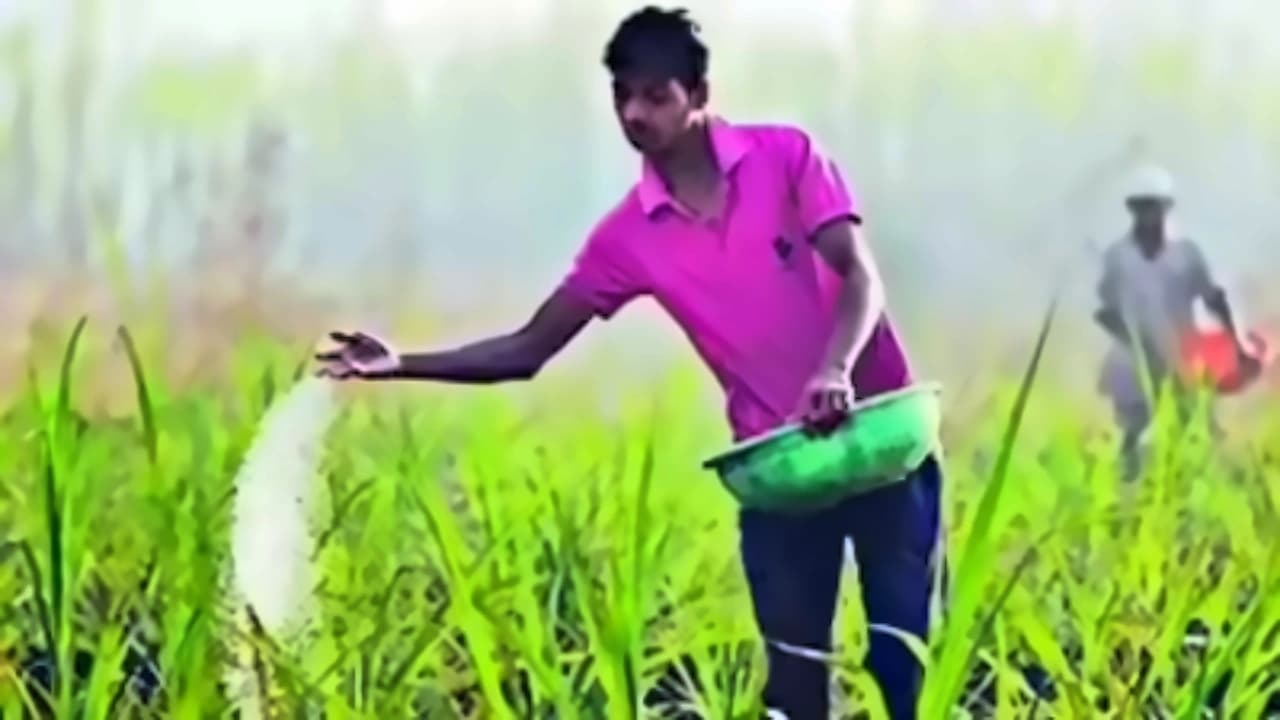 India scales down kharif 2026 fertiliser requirement to 38.39 mn tonnes
