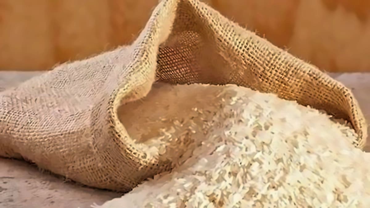 IARI launches Imazethapyr-tolerant basmati varieties for commercial sale