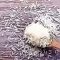 Chaman Lal Setia Exports surges 17% on strong Q3 results