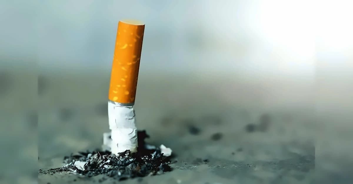 ITC shares rise 2% despite Q1 profit decline amid tax hikes