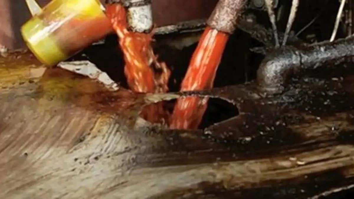 Palm oil futures slide over 2% on stockpile concerns, weekly loss expected