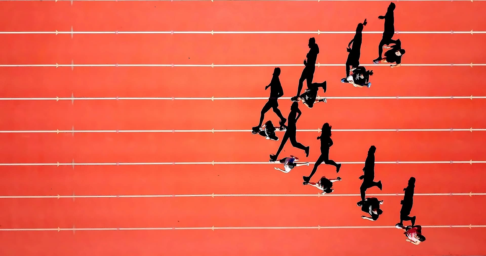 Crypto Allocation: Size Over Selection Key to Survival Strategy