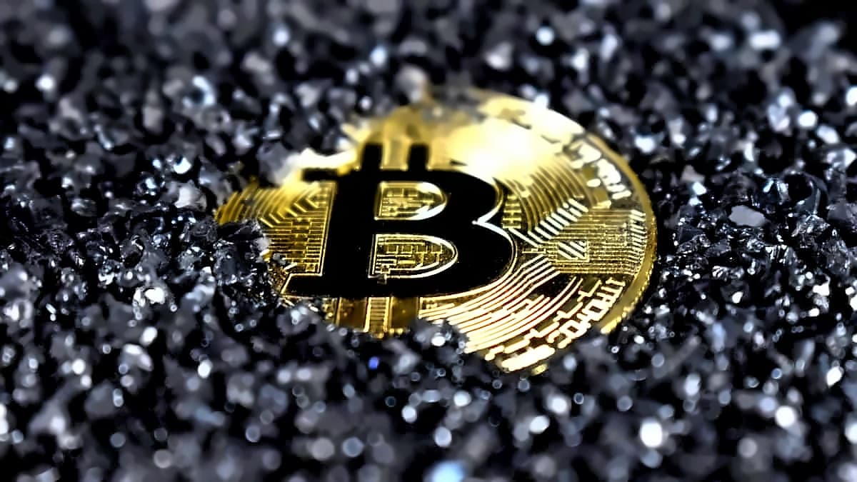 Crypto Market Crisis: Indian Investors Shift to Long-term Strategies