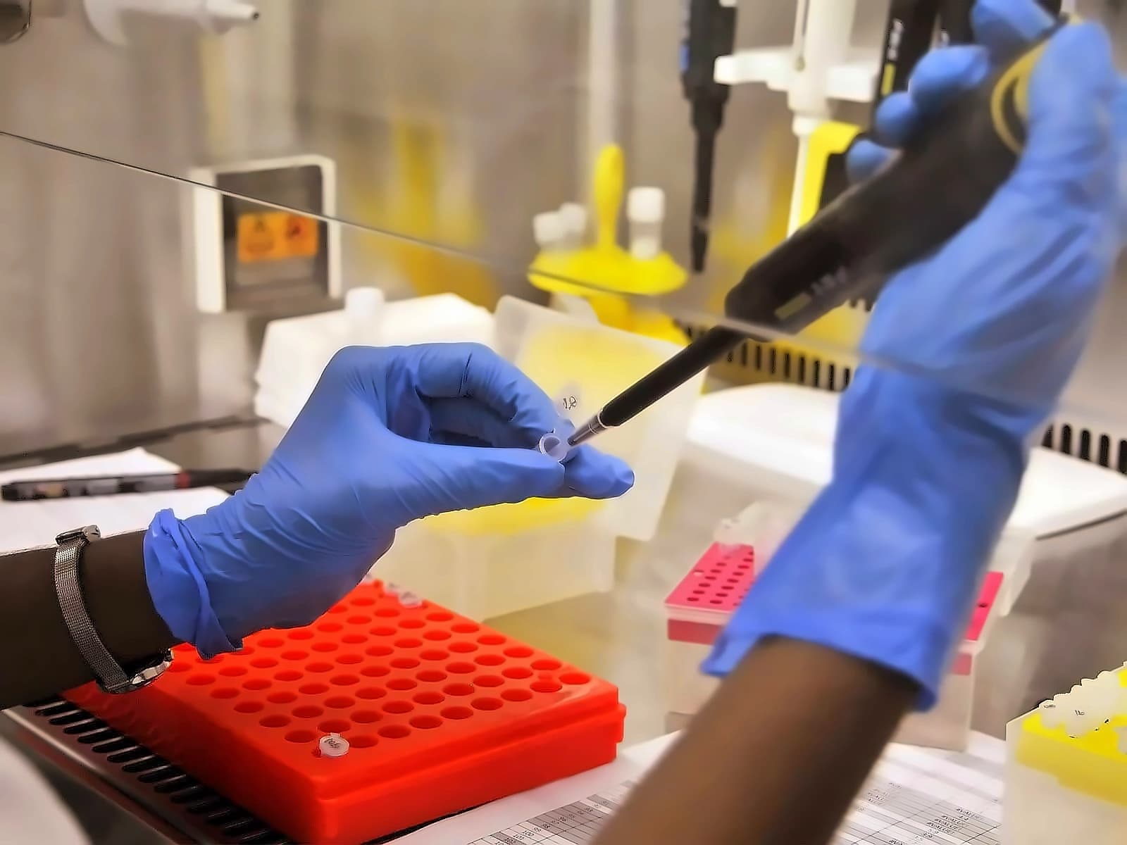 Diagnostics sector poised for strong FY27 growth amid stable pricing