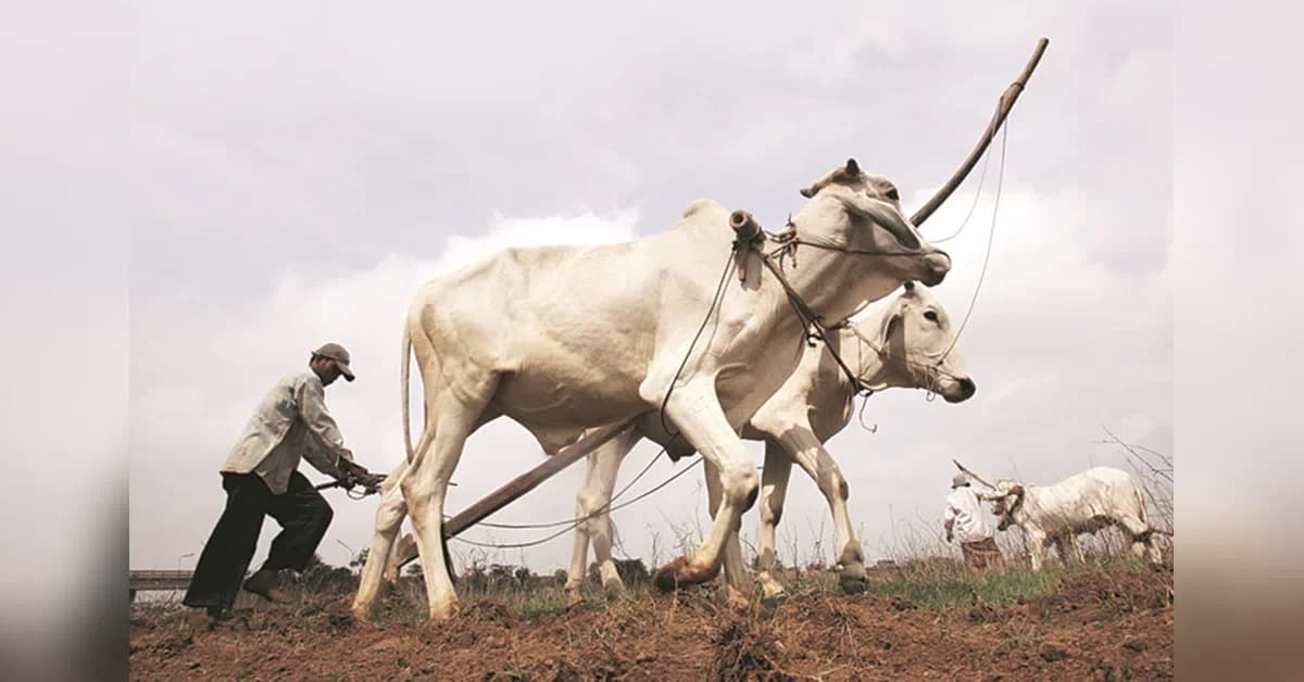 El Niño 2026: Global Agricultural Crisis Convergence Analysis