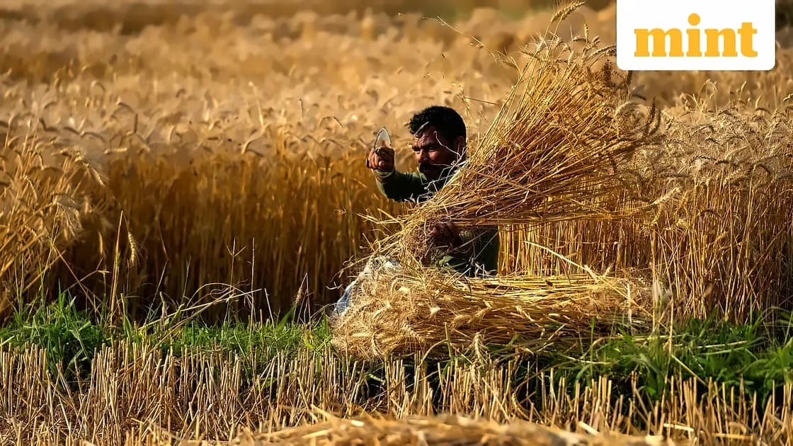 El Niño threatens India's crop insurance scheme amid monsoon risks