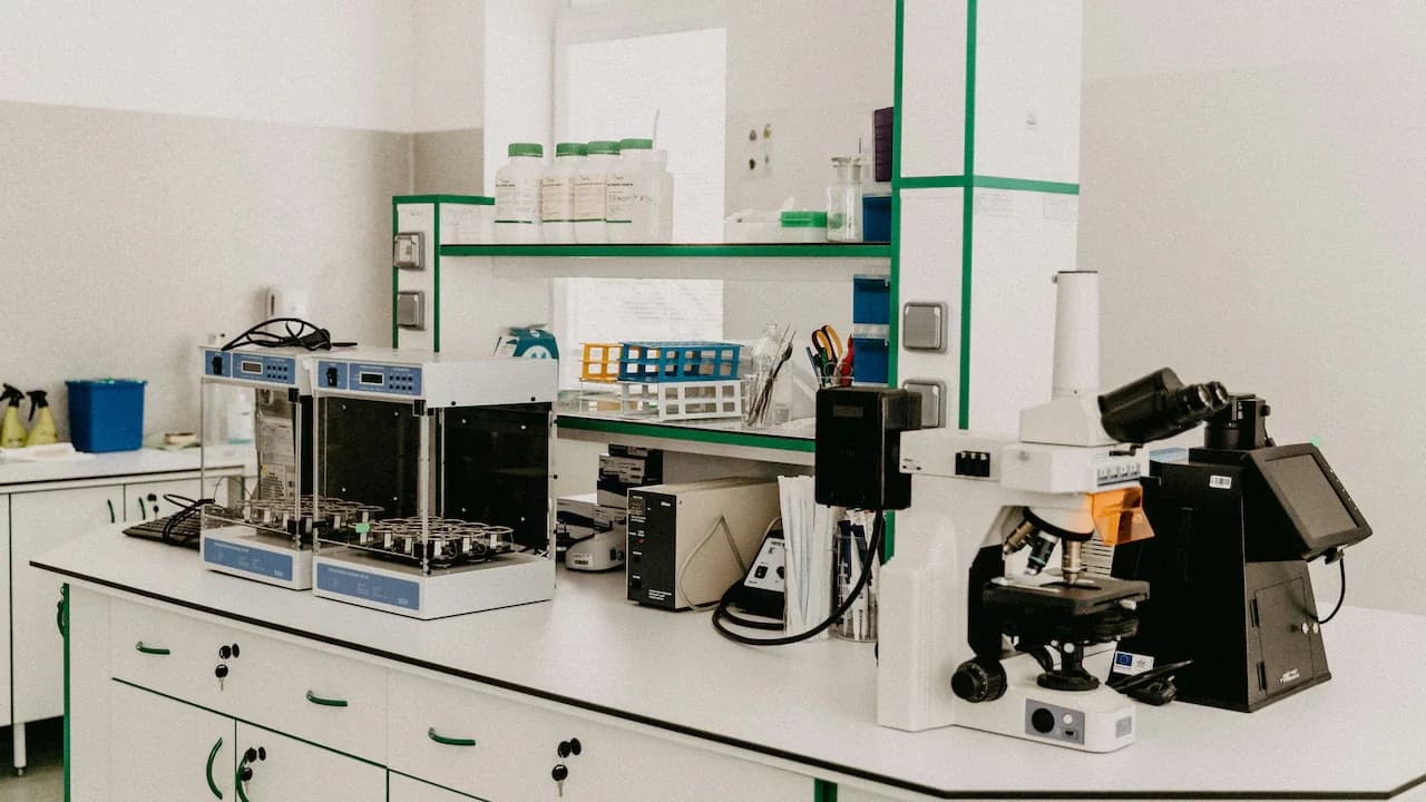 Metropolis Healthcare shares surge 8% on strong Q1 results, JM Financial calls best-value stock