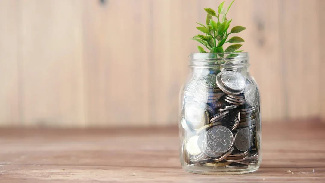 EPFO Retains 8.25% Interest Rate: VPF Investment Strategy