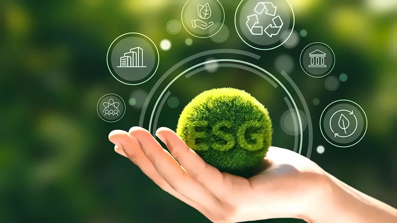India's grid rules threaten clean energy investments amid ESG push