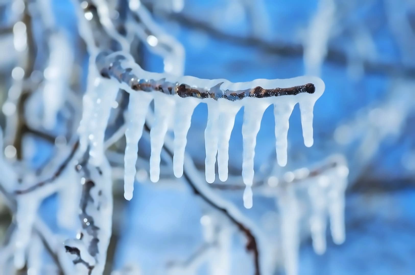 Ethereum: $71M Arbitrum Freeze Sparks DeFi Risk Re-evaluation