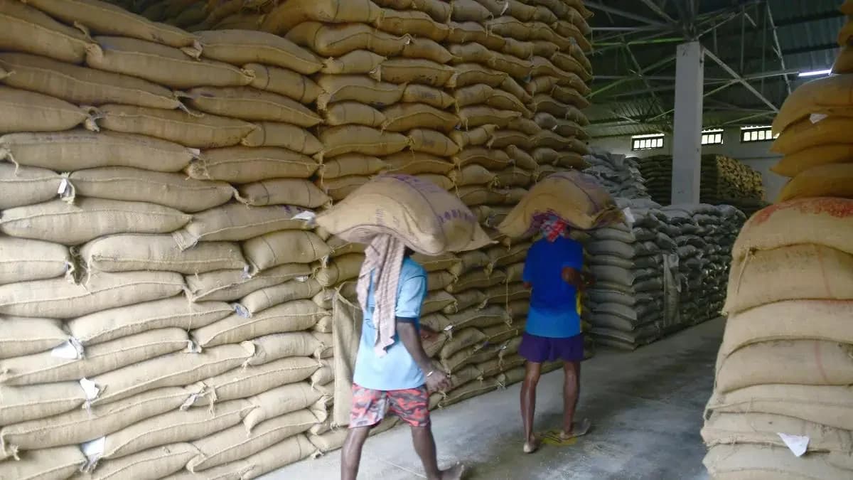 EU Rice Lobby Seeks Safeguard Mechanisms Amid Import Surge