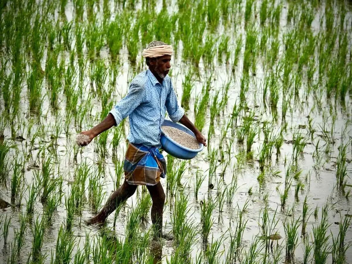 Fertiliser firms to invest ₹80,000-90,000 crore in capex under NIPU-2026