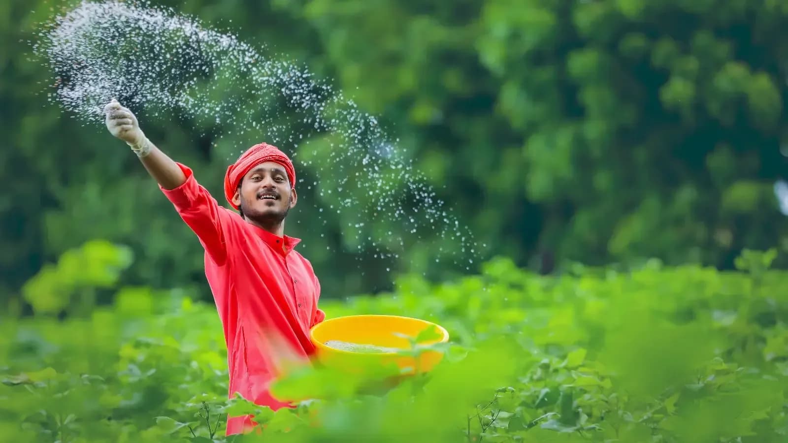 Fertiliser stocks hit as China's sulfuric acid ban combines with Iran war