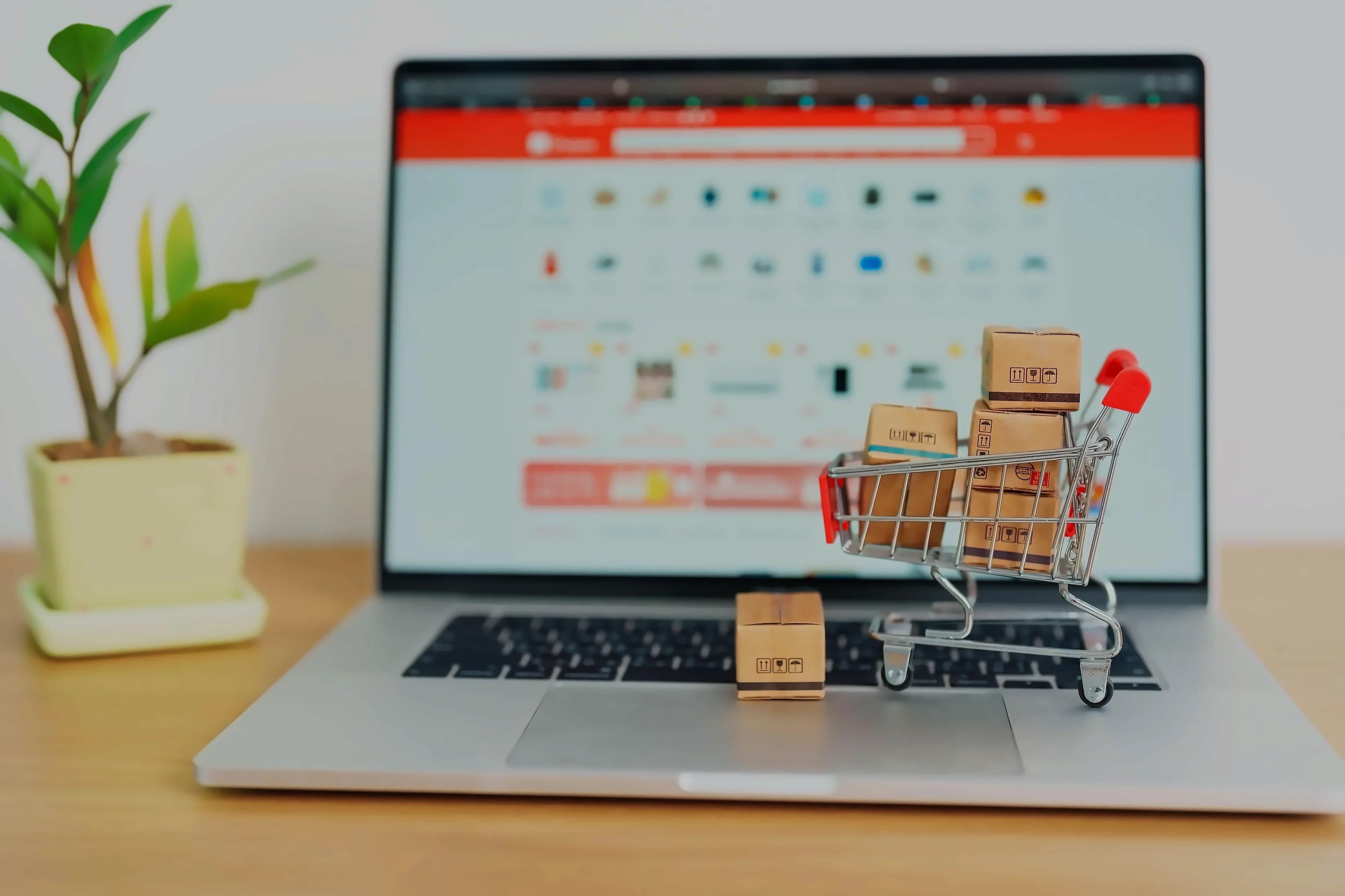 Festive e-commerce sees strong start with small-town surge