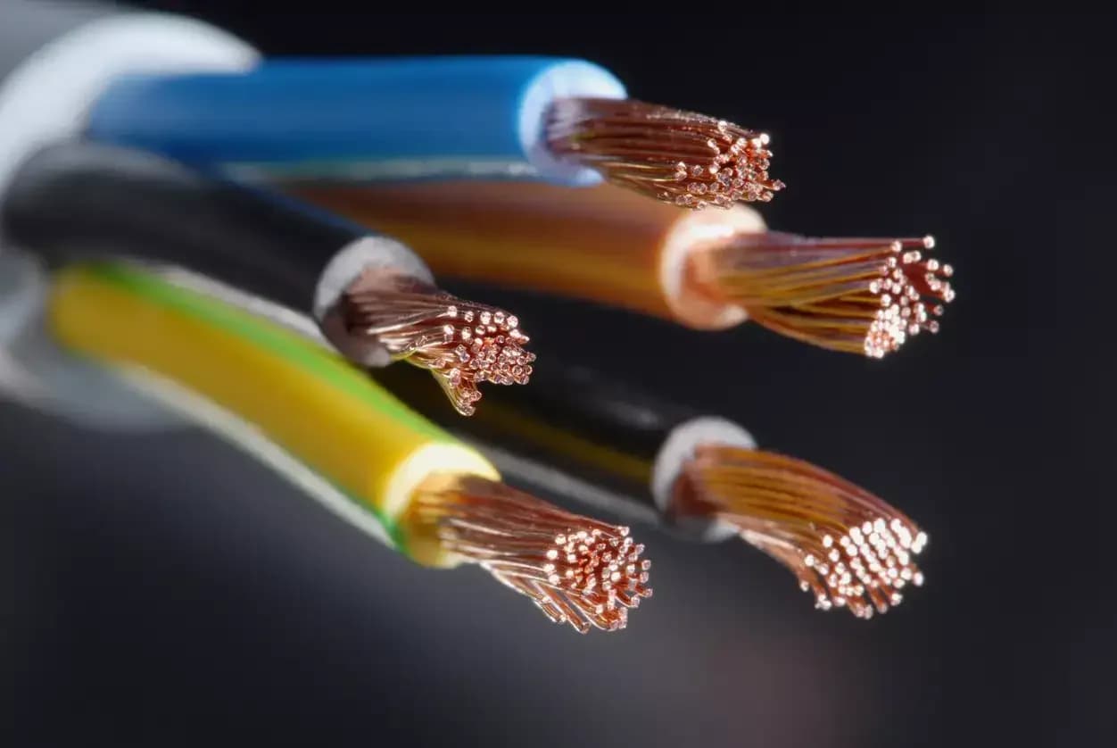 Finolex Cables, Zydus Wellness among top NSE Small-Cap gainers