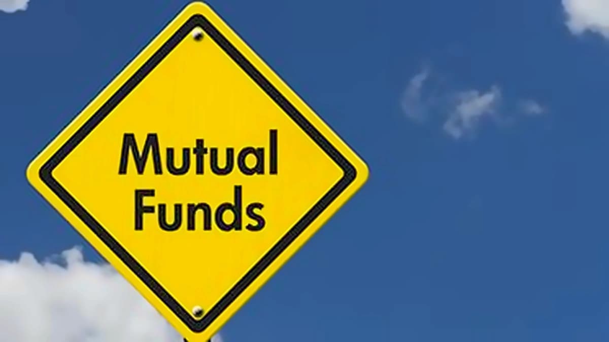 Flexi-cap funds attract ₹49,915 cr inflows in 7 months, up 27%