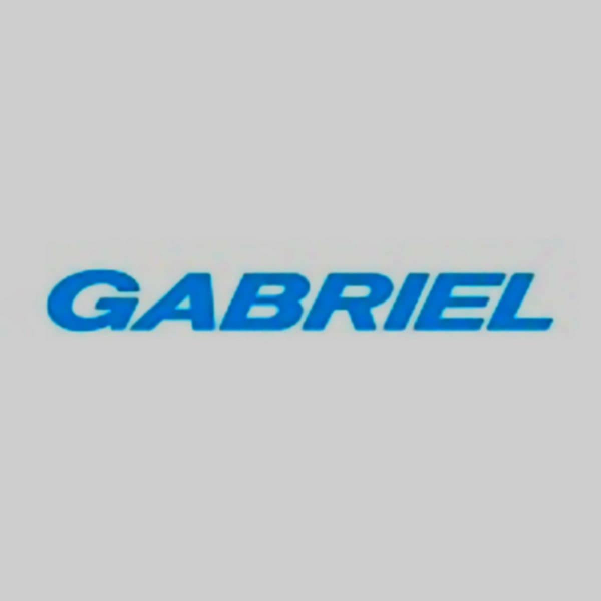 Gabriel India-Forvia JV targets 10% India seating market share