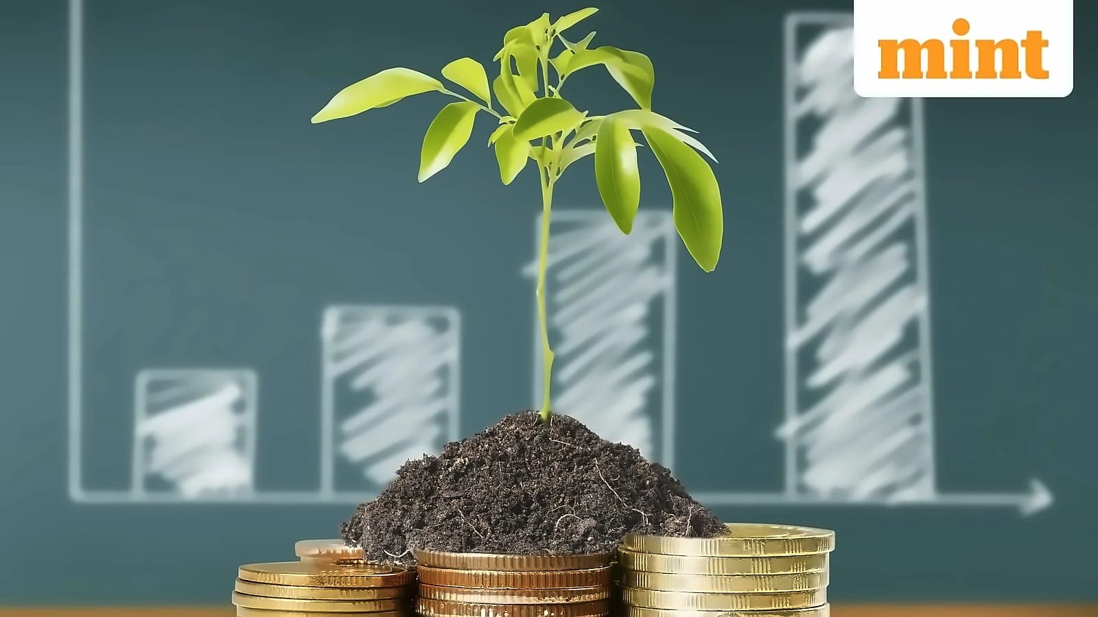 Global PE Funds Eye Gemsons Stake at ₹1,200 Cr Valuation