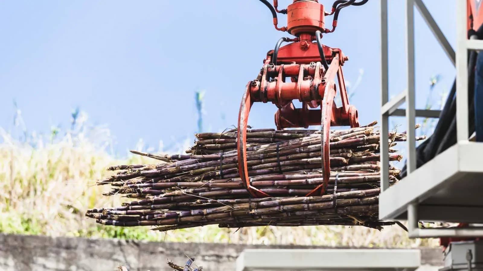 Government confirms E20 remains ethanol-free, rules out E25 blending