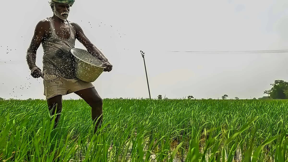 Govt hikes kharif crop MSPs: Paddy up ₹72, total payout ₹18.99L cr