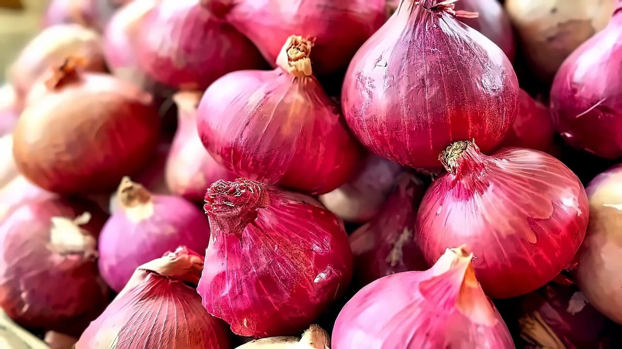 Govt Hikes Onion Procurement Price by 13% to ₹2,125/Quintal