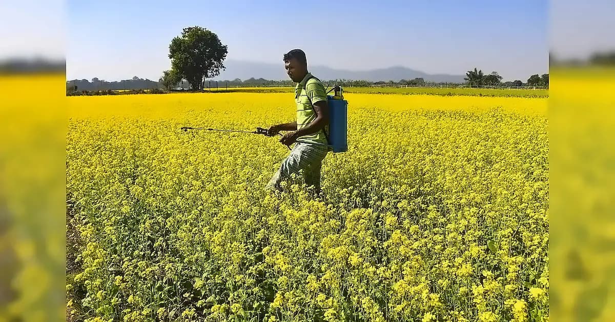 Govt proposes ban on carbosulfan pesticide citing toxicity risks