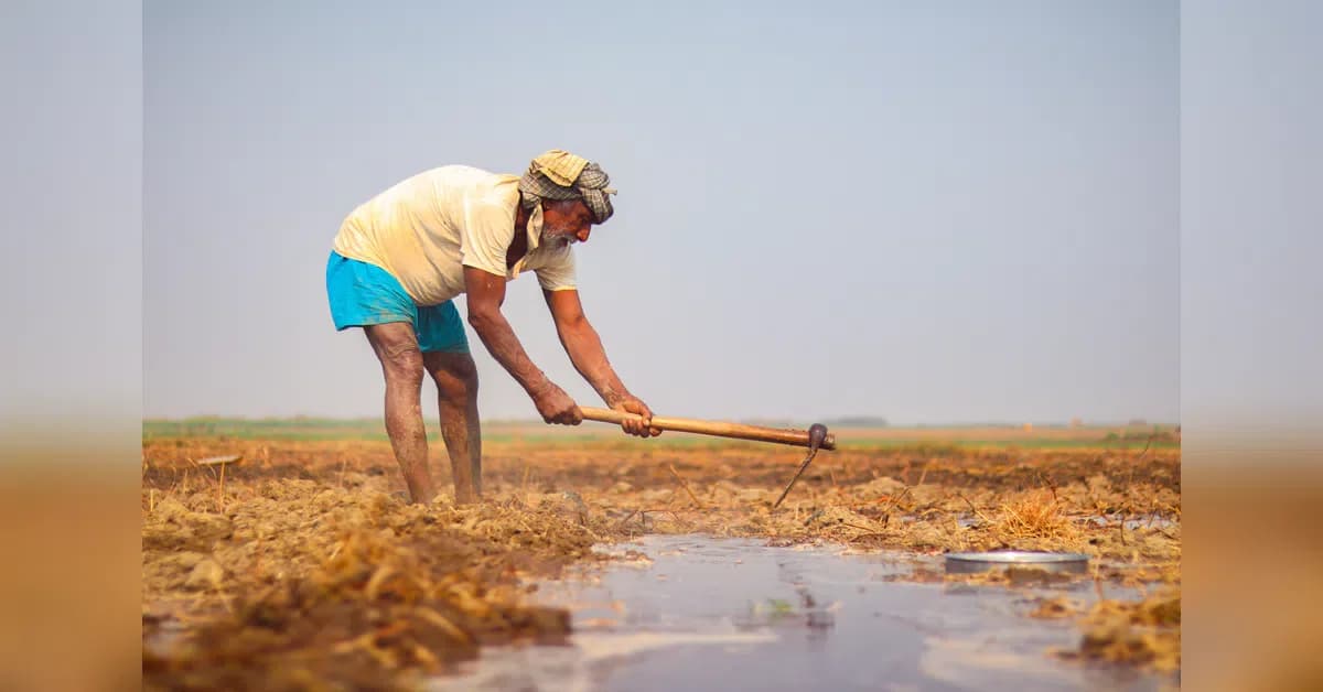 Heatwaves squeeze household budgets as cooling costs rise in India