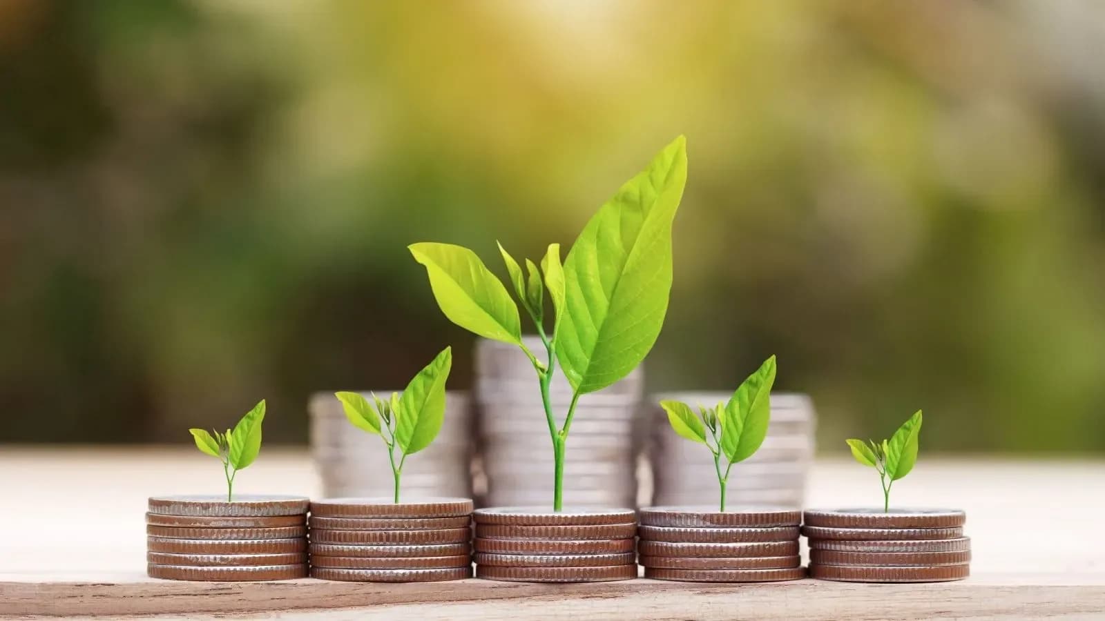 Hybrid Funds Compared: SIFs, Arbitrage & Balanced Advantage
