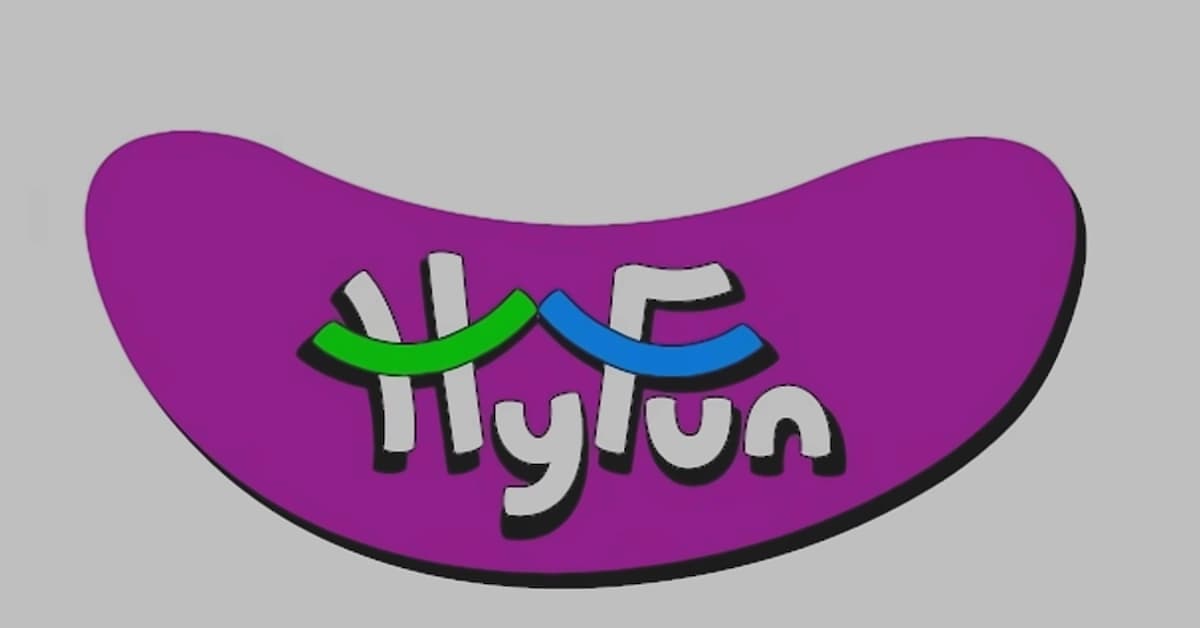 HyFun Foods to invest ₹1,500 cr in Gujarat, MP expansion