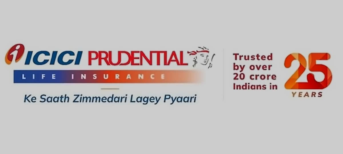 Government seeks long-term funds as insurance sector shifts to short-term
