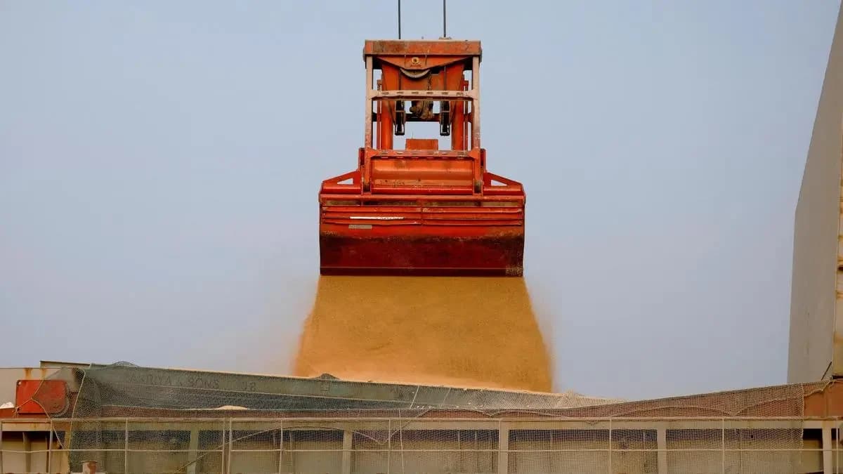India customs probe diverts 11,000 tonnes of Niger soybeans to Asia