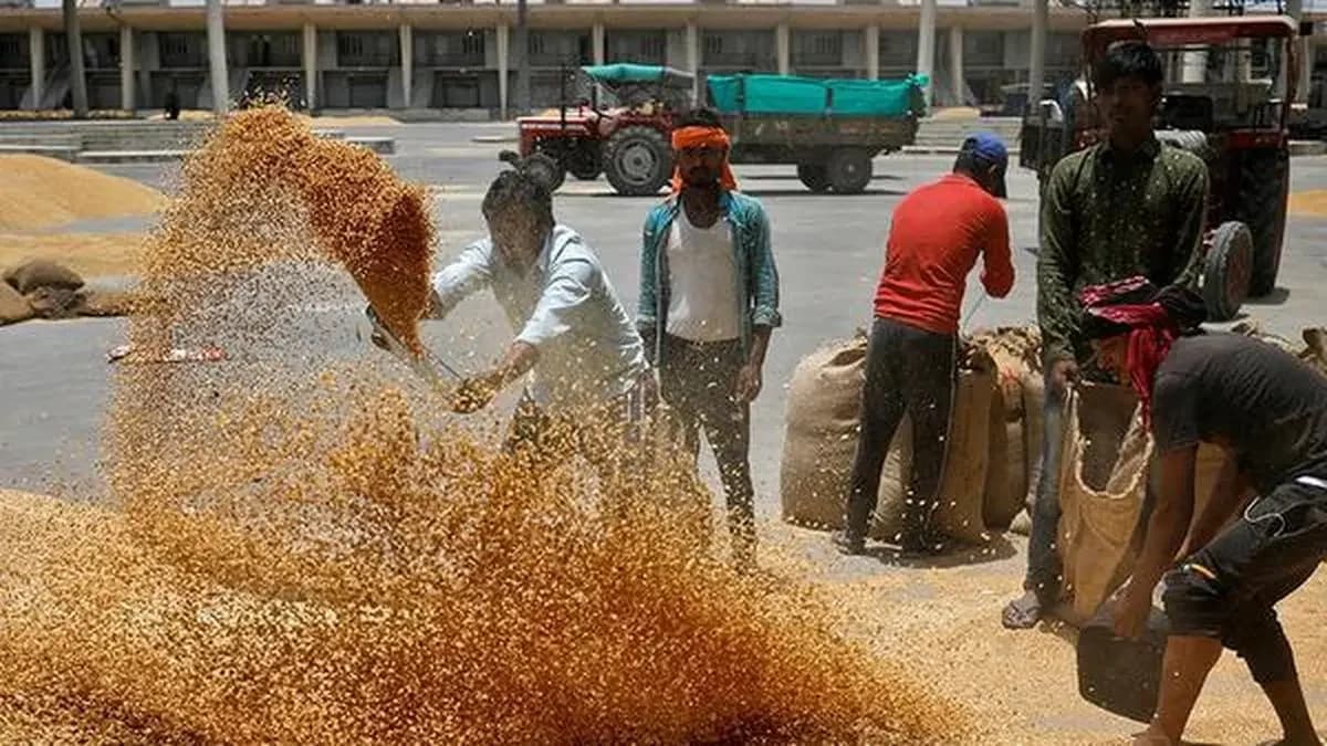 India doubles wheat auction to 1.99 lakh tonnes amid price rise