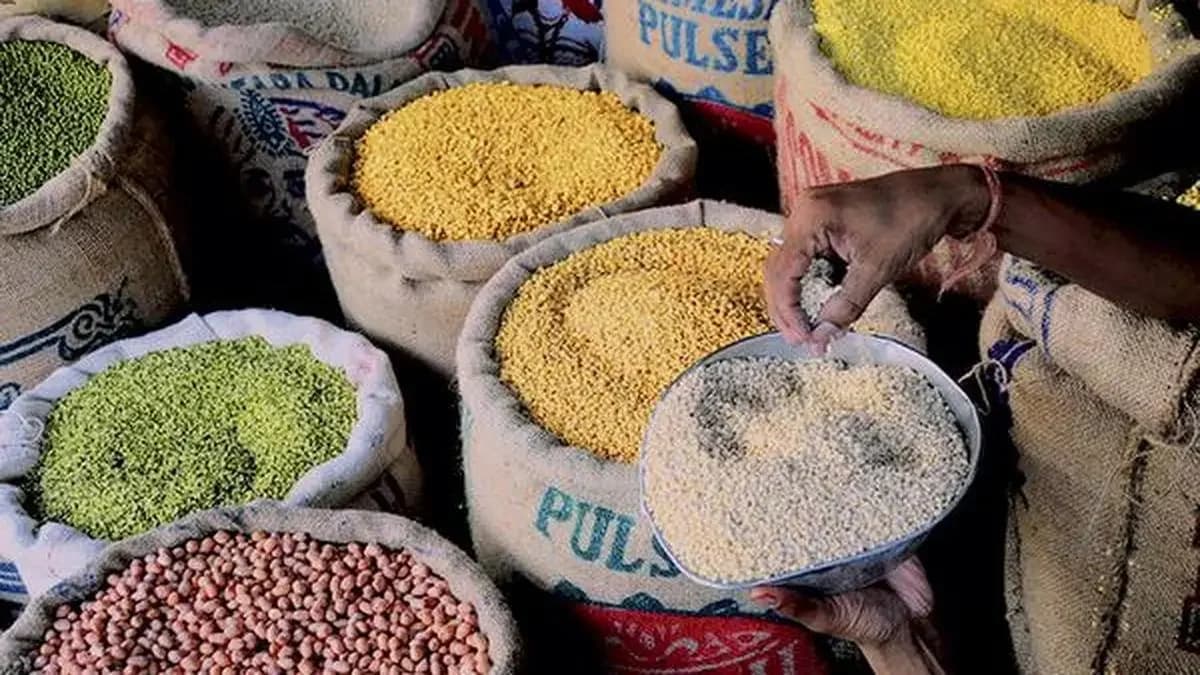 India extends zero duty pulses import policy till March 2027