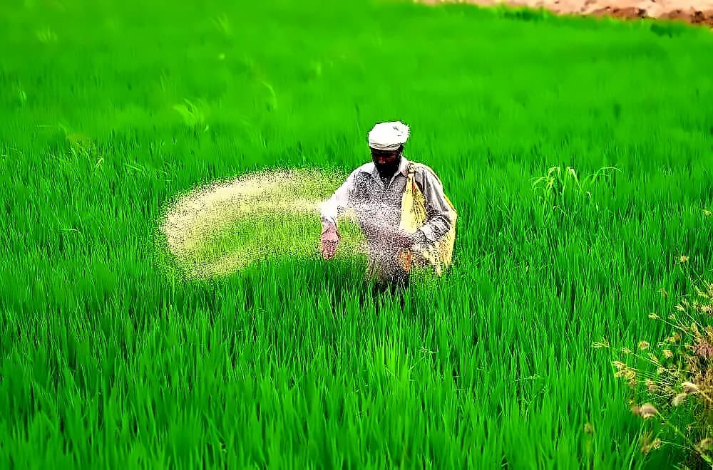 India imports 32+ lakh tonnes fertiliser in Q1, diversifies supply