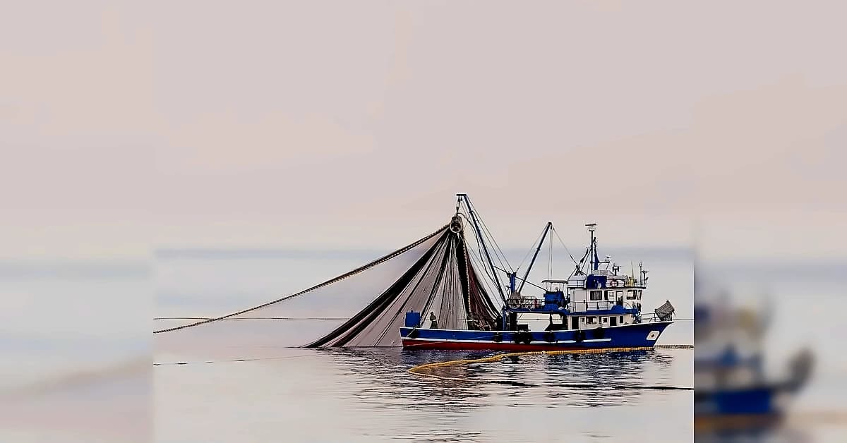 India Launches Letter of Authorisation for High Seas Fishing