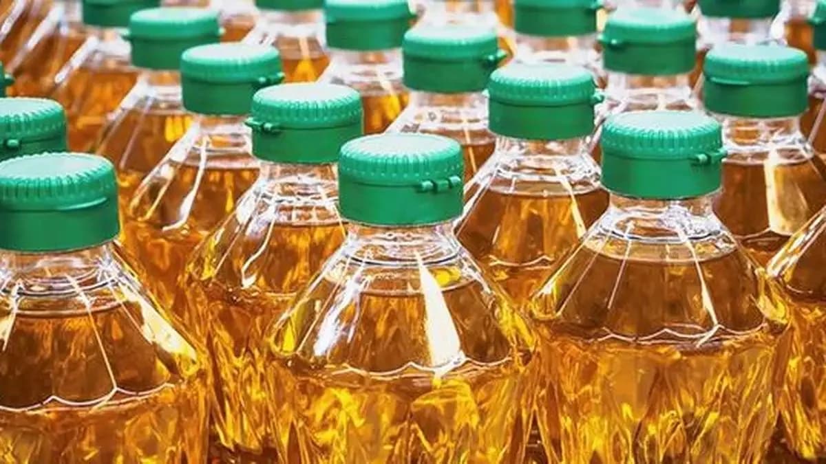 India-Mozambique oilseed corridor signed for sustainable supply
