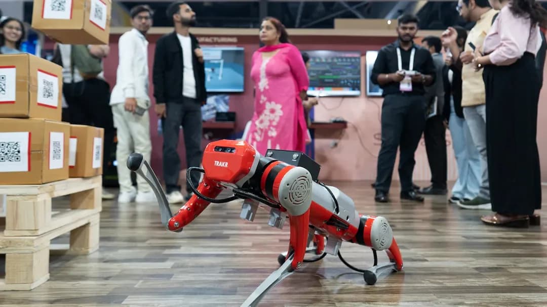 India drops to 6th in global markets as IT sector crashes 40%